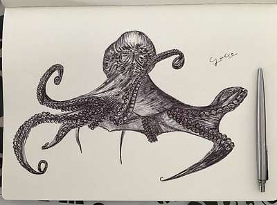 Ballpen Octopus 🐙 ballpen blackandwhite design illustration moleskin parkerpen sketch