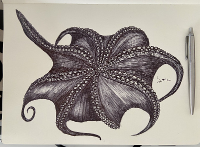 Ballpen Octopus 🐙 ball ballpen blackandwhite design illustration sketch