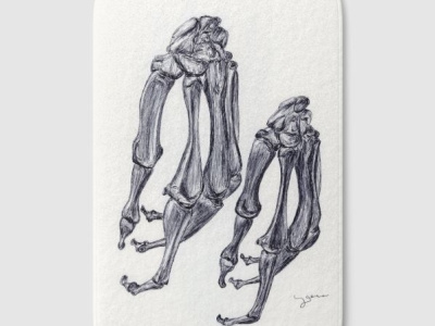 Ballpen Society 6 Bones 🦴 ballpen bone bones branding design drawing illustration moleskine parkerpen sketch society6 frame wallart