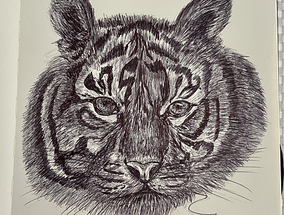 Ballpen Tiger 🐅 🐯 animal ballpen design drawing illustration moleskine parkerpen sketch tiger