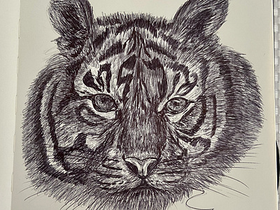 Ballpen Tiger 🐅 🐯