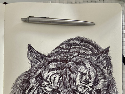 Ballpen Tiger 🐅 animal ballpen ballpointpen design drawing illustration sketch tiger