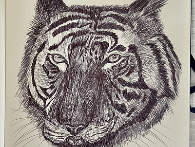 Ballpen Tiger 🐅 animal art ballpen ballpointpenillustrator illustration moleskine parkerpen sketch tiger