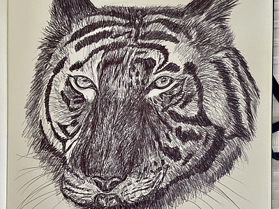 Ballpen Tiger 🐅