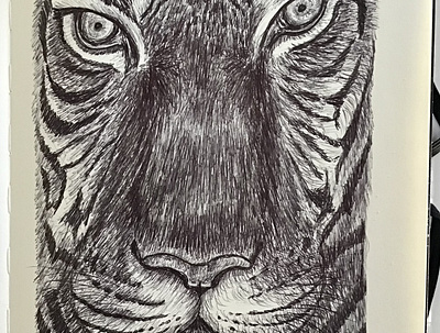 Ballpen Tiger 🐅 animal ballpen blackandwhite design drawing illustration sketch tiger