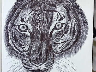 Ballpen Tiger 🐅 ballpen ballpointpen design drawing illustration moleskin parkerpen sketch tiger