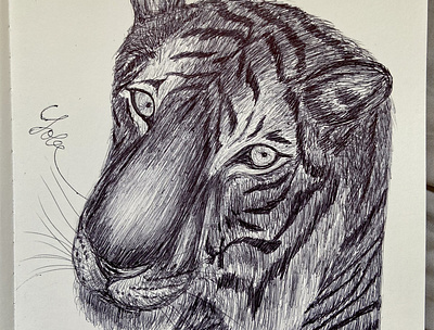 Ballpen Tiger 🐅 animal ballpen ballpointpen design drawing illustration sketch tiger