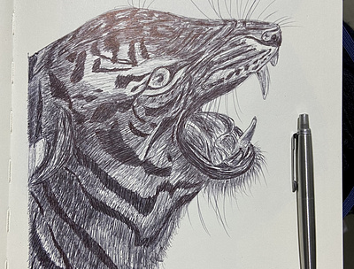 Ballpen Tiger 🐅 animal ballpen ballpointpen design drawing illustration sketch tiger