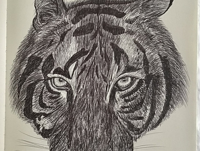 Ballpen Tiger 🐅 animal ballpen ballpointpen blackandwhite design drawing illustration sketch tiger