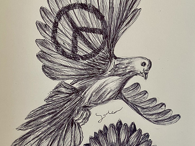 Ballpen Peace Dove 🕊 ballpen bird design dove drawing illustration peace pigeon sketch