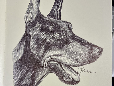 Ballpen Dog 🐩 animal ballpen ballpointpen design dog drawing illustration sketch