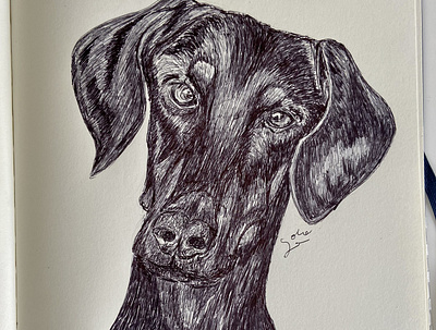 Ballpen Dog 🐩 animal ballpen design dog drawing illustration sketch