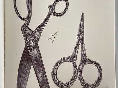 Ballpen Scissors ✂️