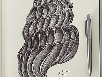 Ballpen Shell 🐚 ballpen blackandwhite design drawing illustration shell sketch