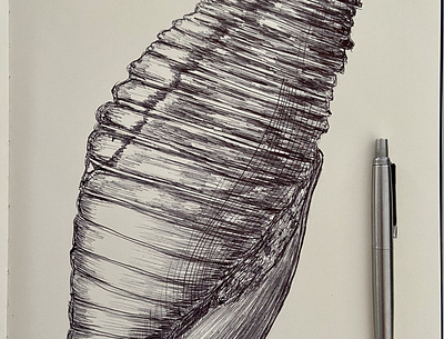 Ballpen Shell 🐚 ballpen design drawing handdrawing illustration shell sketch