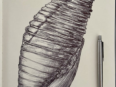 Ballpen Shell 🐚