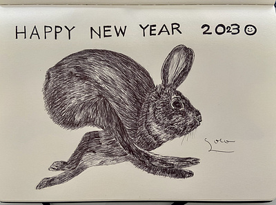 Ballpen New Year Rabbit 🐇 2023 ballpen design drawing illustration newyear rabbit sketch