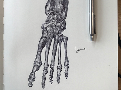 Ballpen Bones