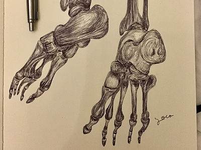 Ballpen Bones