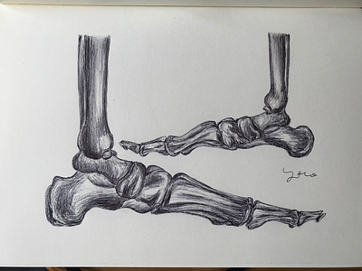 Ballpen Bones