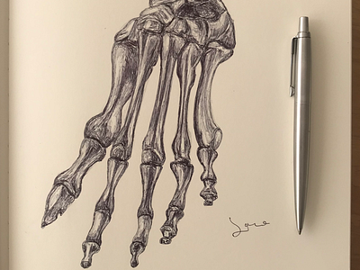 Ballpen Bones