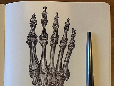 Ballpen Bones