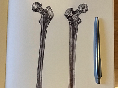 Ballpen Bones