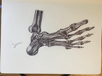 Ballpen Bones