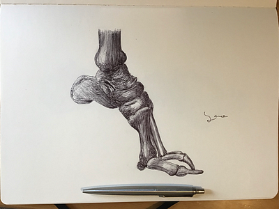 Ballpen Bones