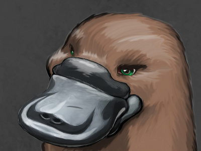 Platypus For An Emu character digital 2d digital painting illustration illustration art platypus