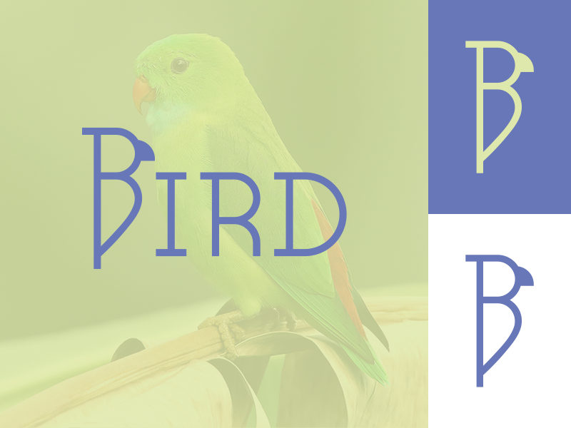 Bird Logo Concept b letter b identity brand inspiration concept design logo typogaphy bird logo bird