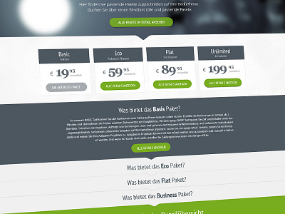 Website - Packages creative design green grey interface list price screendesign ui usability ux webdesign