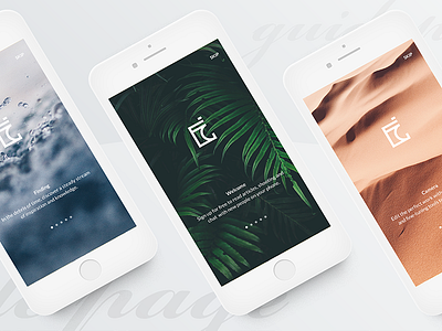 #2 Gamma-Guide Page clean ios minimalism mobile photography simple ui ux white