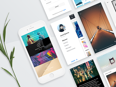 #7 Gamma-Other Page clean ios minimalism mobile photography simple ui ux white