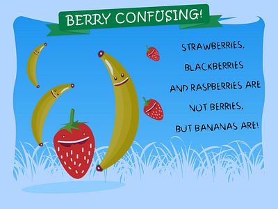 BERRY CONFUSING art design illustration xd