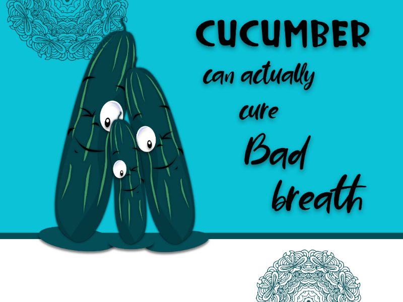 Cucumber can actually cure bad breath!! by artworksofsai on Dribbble