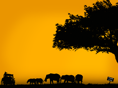 Elephants walking in the sunset design elephants photographer sunset