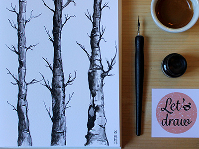 Birch Tree Drawing