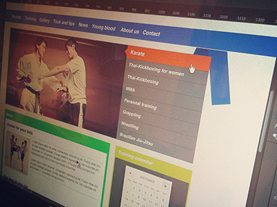 Web-design for Karate club clean karate martial arts minimal nenad ivanovic user friendly web design