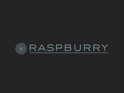 Raspburry Logo black circle dark design gem jewel logo snowflake