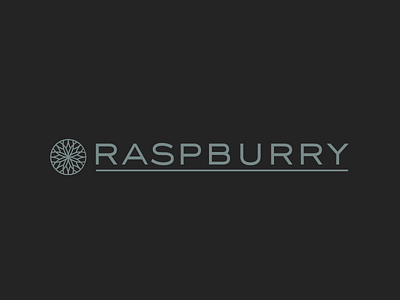 Raspburry Logo
