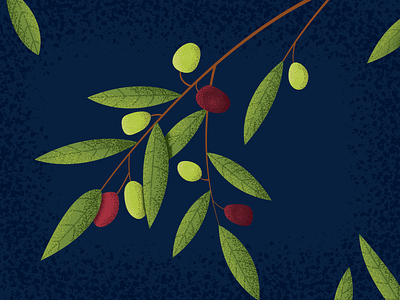 Olive Branch olive branch illustration plant illustration vector texture