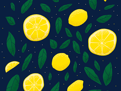 Lemon Illustration foliage illustration fruit illustration illustration lemon illustration