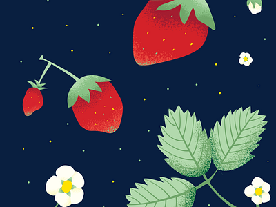 Strawberry Illustration foliage illustration fruit illustration strawberry illustration