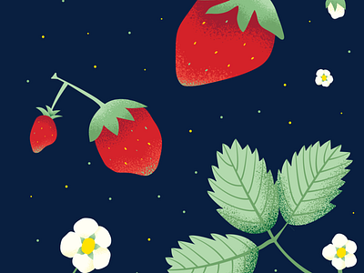 Strawberry Illustration