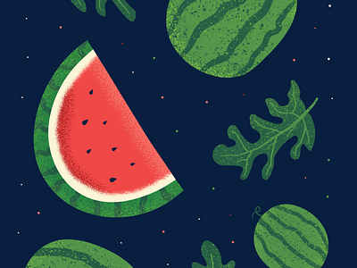 Watermelon Illustration christian artwork foliage illustration fruit illustration illustration