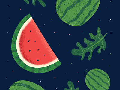 Watermelon Illustration