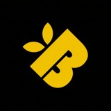 BeeDock