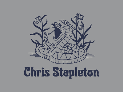 Chris Stapleton Rattlesnake artist merch band merch chris stapleton illustration outdoors rattlesnake snake western