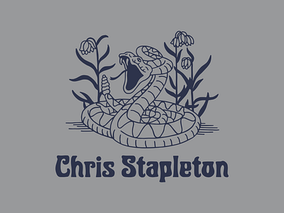 Chris Stapleton Rattlesnake